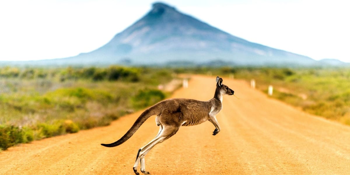Australia Travel Guide: Wildlife, Beaches & Adventure