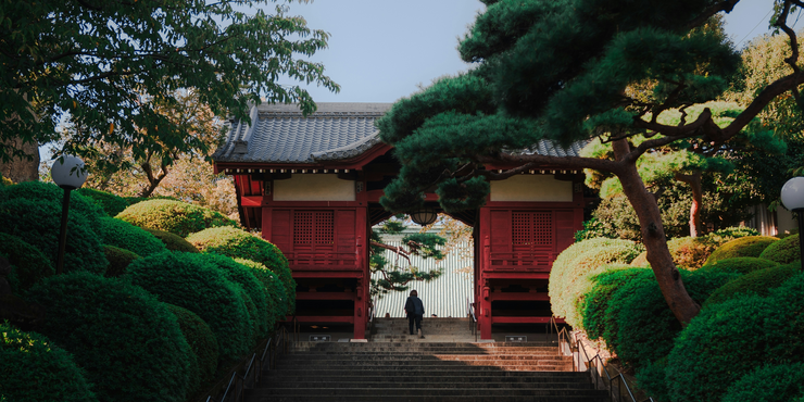 Japan Two-Week Itinerary: Cities, Costs & Travel Tips